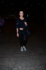Amy Jackson snapped at international airport on 24th Feb 2016